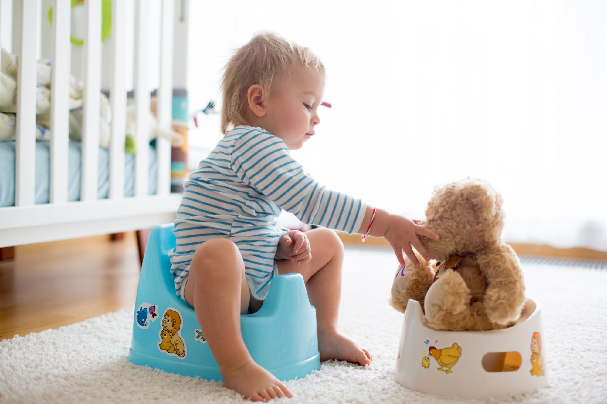 Pot Pour Tout-Petit - Apprentissage De La Propreté Des Tout-Petits