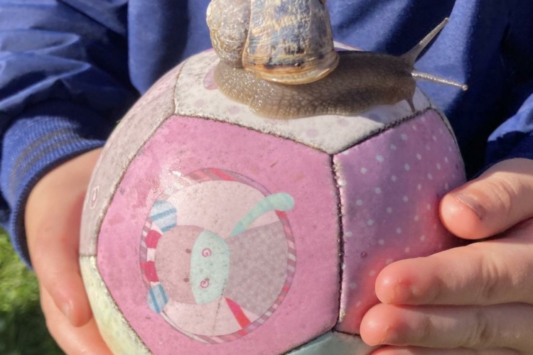 Crèche à Bouguenais – Ecocrèche L’enVol